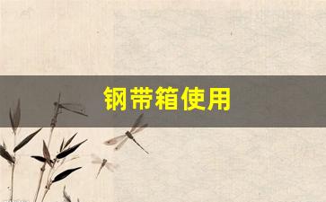 钢带箱使用-钢带箱设备