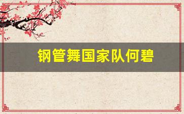 钢管舞国际锦标赛-钢管舞国家队何碧