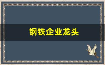 钢铁企业龙头(钢铁行业龙头企业)_https://www.qldgs.com_期货_第1张