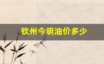 钦州今明油价多少_钦州哪个加油站的油便宜