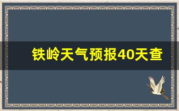 铁岭天气30天查询_铁岭天气预报40天查询