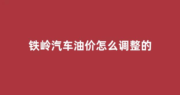 铁岭市汽油今日价格_铁岭汽车油价怎么调整的