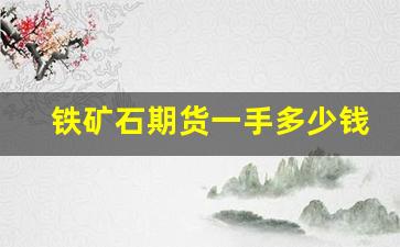 铁矿石期货一手多少钱(铁矿石期货价格行情)_https://www.dcjwmf.com_郑商所_第1张