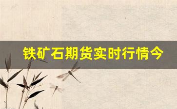 铁矿石期货实时行情今天