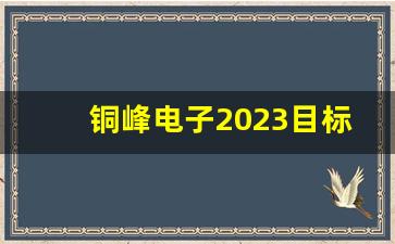 铜峰电子2023目标价(证通电子2023目标价)_https://www.shshucaipeisong.com_上交所_第1张