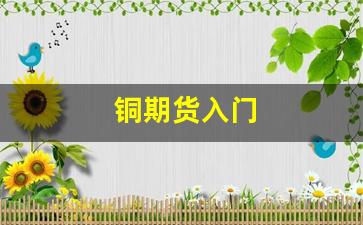 铜期货入门(铜期货如何操作)_https://www.xzdzcjn.com_上交所_第1张