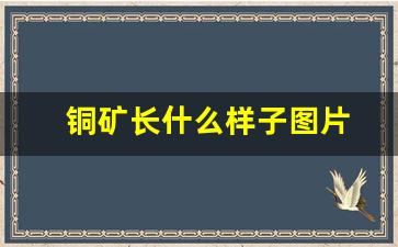 铜矿长什么样子图片(铜矿长什么样子图片大全)_https://www.hhem8.com_创业板_第1张