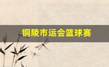 铜陵市运会篮球赛-铜陵篮球协会