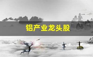 铝产业龙头股(铝业龙头股票有哪些)_https://www.huakunhengjia.com_财经资讯_第1张