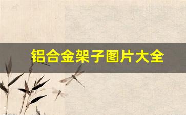 铝合金架子图片大全(铝合金 架子)_https://www.huakunhengjia.com_期货资讯_第1张