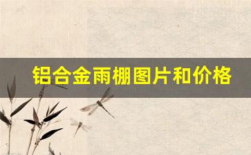铝合金雨棚图片和价格(铝合金雨棚图片和价格大全)_https://www.eamstsz.com_上交所_第1张