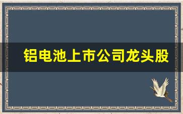 铝电池上市公司龙头股票有哪些(固态电池上市公司龙头股票)_https://www.wguangz.com_郑商所_第1张