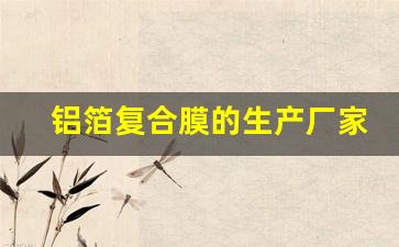 铝箔复合膜的生产厂家(铝合金厂家联系方式)_https://www.wanyuyiyao.com_上交所_第1张