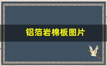 铝箔岩棉板图片(铝箔岩棉板图片大全)_https://www.taocizhiliang.com_装修公司_第1张
