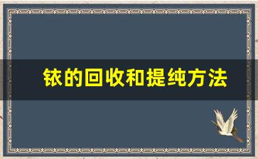 铱的回收和提纯方法(铱的回收和提纯方法的区别)_https://www.taocizhiliang.com_效果图_第1张
