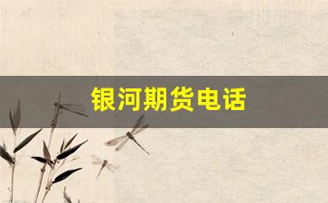 银河期货电话_https://www.xzdzcjn.com_上交所_第1张