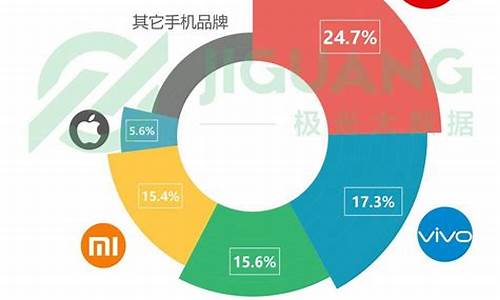 销量最高的手机_2023年中国销量最高的手机