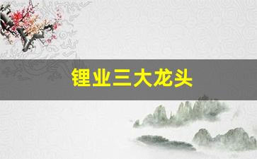 锂业三大龙头(锂业三大龙头股)_https://www.wguangz.com_大商所_第1张