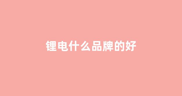 锂电什么品牌的好(锂电选什么牌子)_https://www.jnskb.com_装修公司_第1张