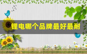 锂电哪个品牌最好最耐用(什么牌的锂电好)_https://www.jnskb.com_设计报价_第1张