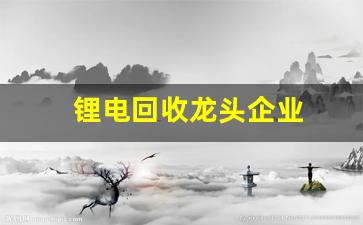 锂电回收龙头企业(锂电回收龙头企业)_https://www.wguangz.com_上期所_第1张