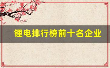 锂电排行榜前十名企业(2020年锂电企业排行)_https://www.huakunhengjia.com_期货资讯_第1张