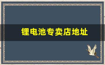 锂电池专卖店地址(电动车锂电池专卖店地址)_https://www.taocizhiliang.com_装修流程_第1张