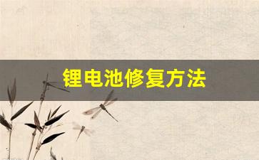 锂电池修复方法(48v锂电池修复方法)_https://www.wanyuyiyao.com_创业板_第1张
