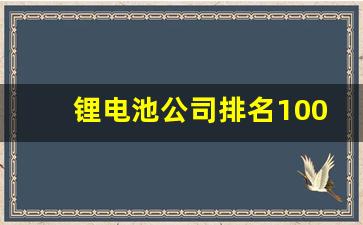 锂电池公司排名100强(锂电池行业排名)_https://www.wanyuyiyao.com_北交所_第1张