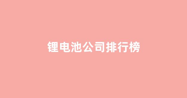 锂电池公司排行榜(锂电池十大公司)_https://www.taocizhiliang.com_效果图_第1张