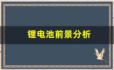 锂电池前景分析(锂电池前景分析报告)_https://www.heiljjianzu.com_科创板_第1张