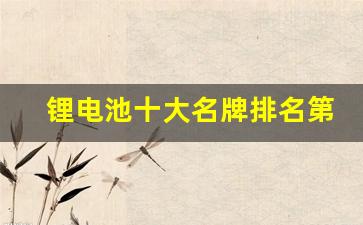 锂电池十大名牌排名第一(锂电池排名前十名)_https://www.wanyuyiyao.com_上交所_第1张