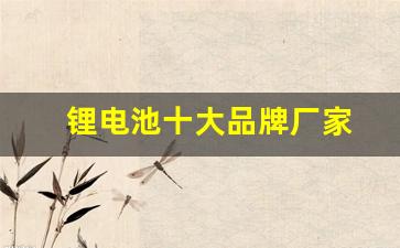 锂电池十大品牌厂家(锂电池知名品牌)_https://www.lclxwz.com_上期所_第1张