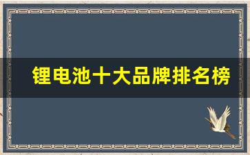 锂电池十大品牌排名榜(锂电池十大品牌排名榜)_https://www.nalian8.com_创业板_第1张