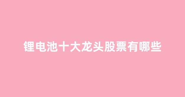 锂电池十大龙头股票有哪些(锂电池十大龙头股票有哪些公司)_https://www.hhem8.com_上交所_第1张