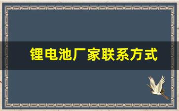 锂电池厂家联系方式(锂电池厂家直销)_https://www.wanyuyiyao.com_上交所_第1张