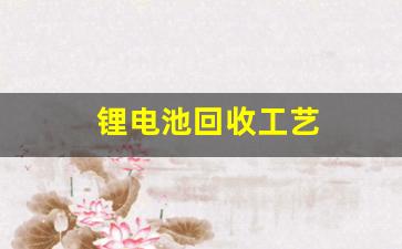 锂电池回收工艺(锂电池回收工艺流程)_https://www.taocizhiliang.com_装修公司_第1张