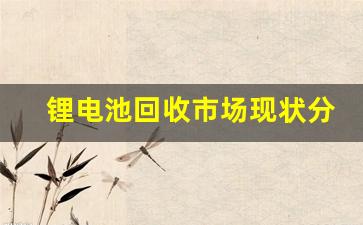 锂电池回收市场现状分析(锂电池有回收的吗)_https://www.taocizhiliang.com_设计报价_第1张