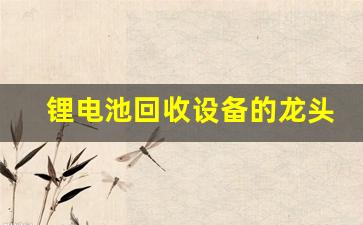 锂电池回收设备的龙头公司是哪家(锂电池回收设备的龙头公司是哪家企业)_https://www.wanyuyiyao.com_科创板_第1张