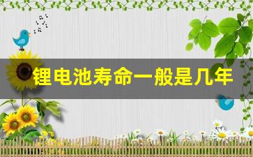 锂电池寿命一般是几年一换(锂电电池寿命是几年)_https://www.huakunhengjia.com_金融资讯_第1张