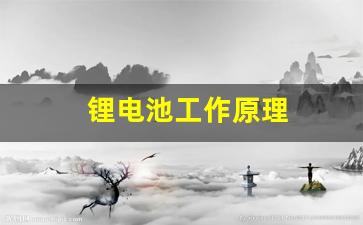 锂电池工作原理(磷酸铁锂电池工作原理)_https://www.huakunhengjia.com_金融资讯_第1张