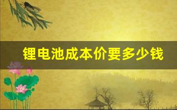 锂电池成本价要多少钱(锂电池制造成本价格)_https://www.wguangz.com_上期所_第1张