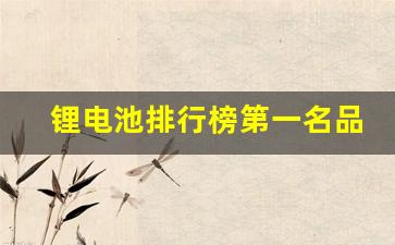 锂电池排行榜第一名品牌是什么(锂电池排名前十名)_https://www.huakunhengjia.com_财经资讯_第1张