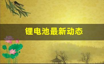 锂电池最新动态(锂电池最新动态图片)_https://www.taocizhiliang.com_设计报价_第1张
