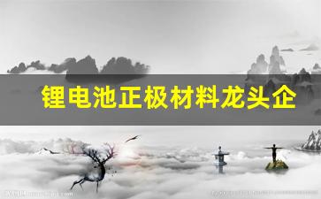 锂电池正极材料龙头企业有哪些(锂电池电解液龙头企业)_https://www.brunchezvous.com_旅游景点_第1张