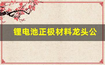 锂电池正极材料龙头公司(锂电池正极材料龙头)_https://www.hhem8.com_科创板_第1张