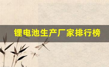 锂电池生产厂家排行榜(锂电池生产厂家排行榜前十)_https://www.wanyuyiyao.com_深交所_第1张
