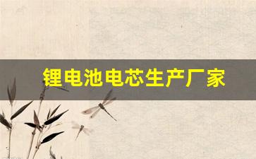 锂电池电芯生产厂家(锂电池电芯生产厂家排行榜)_https://www.wanyuyiyao.com_科创板_第1张