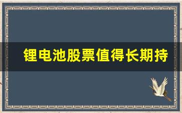 锂电池股票值得长期持有吗(锂电池股票值得长期持有吗知乎)_https://www.qldgs.com_国际期货_第1张