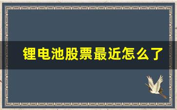 锂电池股票最近怎么了(锂电池股票有哪些龙头股)_https://www.wanyuyiyao.com_科创板_第1张